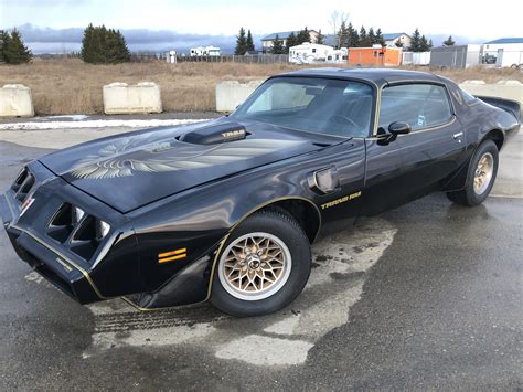 1979 Pontiac Trans Am Smokey And The Bandit Special Edition