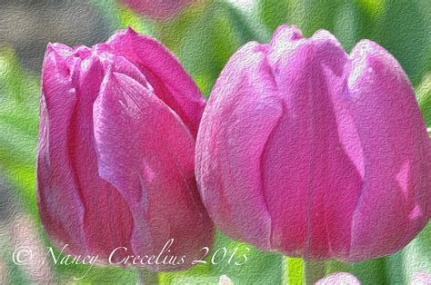 Happy Spring Nanci Flickr