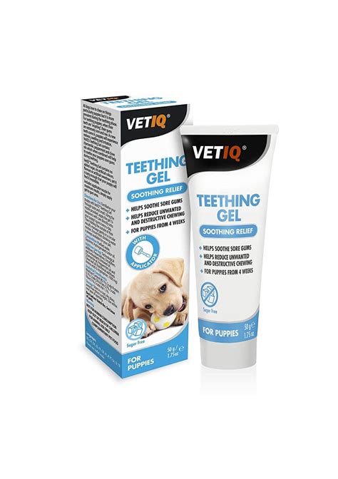 Your puppy will begin teething around four months, which is when their permanent teeth come in. How to Stop a Staffy Chewing - Tips to prevent your dog ...
