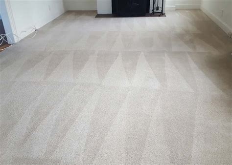 We are one of the most established, recommended and reliable carpet cleaning companies in the local area, successfully covering. Carpet Cleaning Bristol RI | #1 Carpet Cleaners In The State