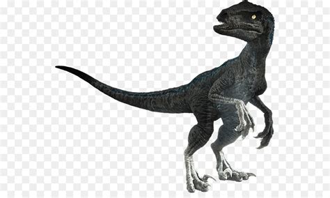 Velociraptor Universal Pictures Tyrannosaurus Stygimoloch Jurassic Park
