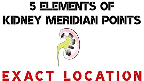 5 Elements Of Kidney Meridian Points I Exact Location Youtube