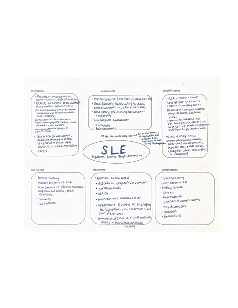 SLE Concept Map NURS 301 Studocu