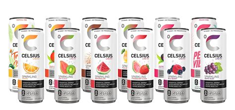 Celsius Sweetened With Stevia Essential Energy Drink 12 Fl Oz