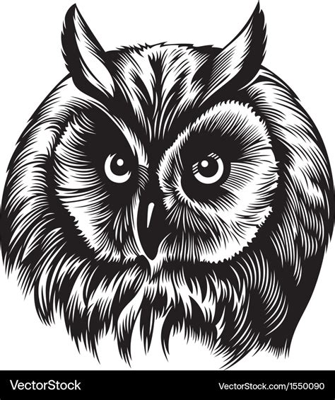 Owl Bird Face Vector Illustration Flat Style Front Stock Vector My Xxx Hot Girl