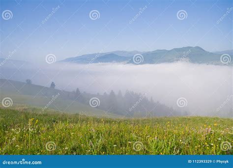 Nebbia Di Mattina Nella Valle Della Montagna Paesaggio Della Montagna