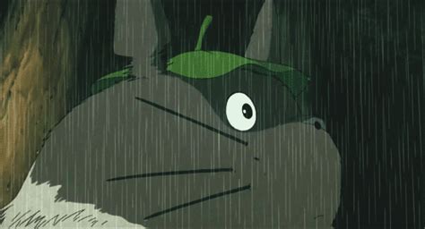 It is considered to be best movies for both: My Neighbor Totoro - Studio Ghibli GIFs | Studio ghibli ...