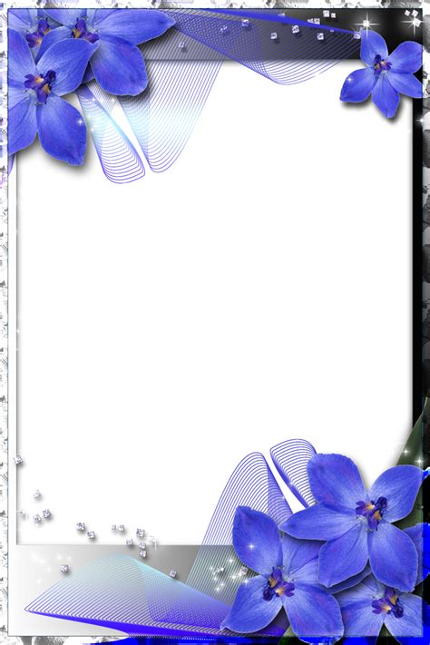 Beautiful Transparent Frame With Blue Orchids Blue Orchids Flower