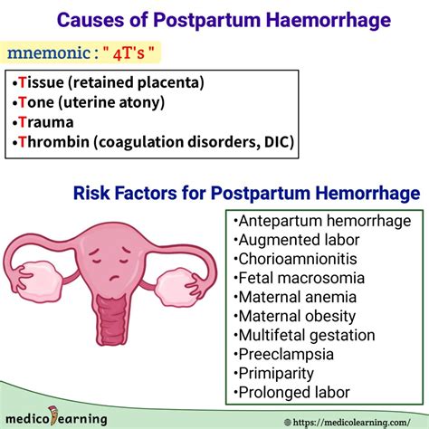 Causes Of Postpartum Hemorrhage Medicolearning