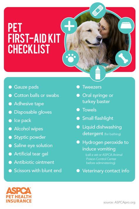 740 Pet Care Tips And Tricks Ideas Pet Care Pet Care Tips Pets