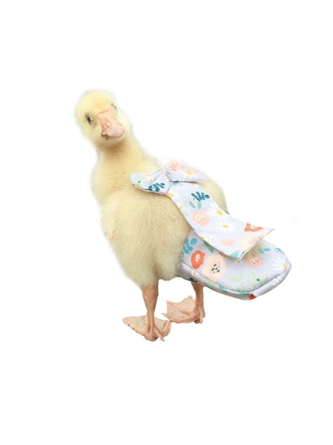 Buy Duck Diapers Chicken Diapers Special Diapers For Poultry Chicken