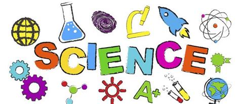Our 3 favorite science worksheets for each grade | Parenting