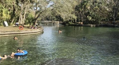 Hot Springs In Florida Best Natural Geothermal Pools In The State