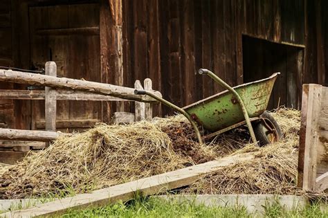 Can A Wheelbarrow Be Stored Outside Country Homestead Living