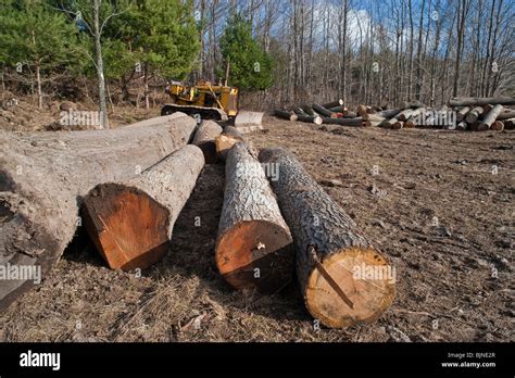 Logging Operations Stock Photos And Logging Operations Stock Images Alamy