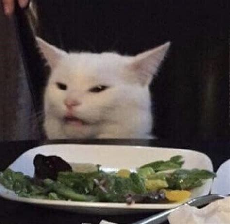 Our Obsession With Smudge The Table Cat Is Unmatched 18 Smudge Pics