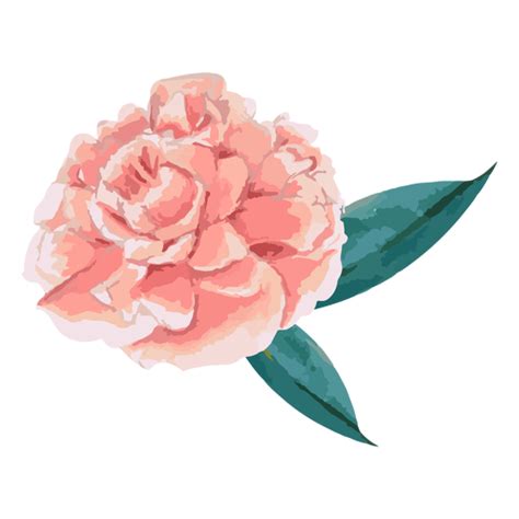 Cute Dibujos Animados Pnges Acuarela Vector Png Watercolor Rose Rose Images