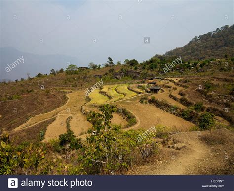 Terraced Fields At The Remote Kot Kendri Village Made Famous By Jim Corbett In His Book