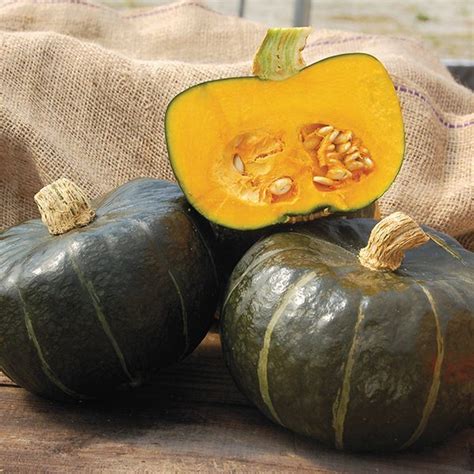 Spaghetti and butternut squash are popularly known as squashes. Burgess Buttercup Squash | Winter vegetables, Growing ...