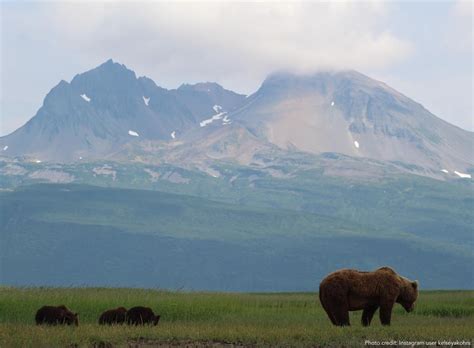 Things To Do In While Visiting Kodiak Kodiak Kodiak Island National