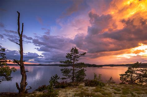 Finnish nature photographer listed the most impressive finnish landscapes. Picture Finland Nature Spruce Lake Scenery Sunrises and ...