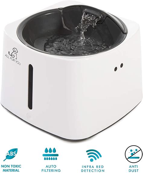Best Dog Water Fountains Of 2020 Review