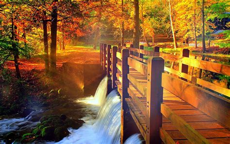 Autumn Fall Landscape Nature Tree Forest Leaf Leaves Path Trail Bridge