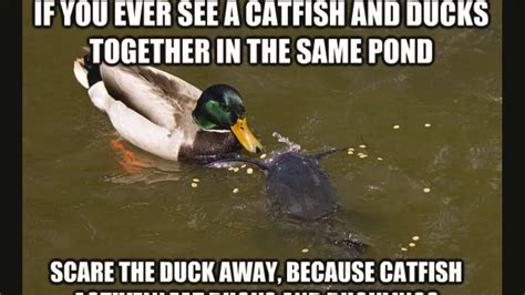 Duck Memes Photos Cantik