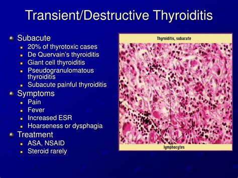 Ppt Thyroid Physiology And Thyroiditis Powerpoint Presentation Free