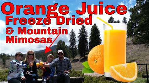 Solved Freeze Dried Orange Juice And Rehydrating To Make Mimosas Youtube