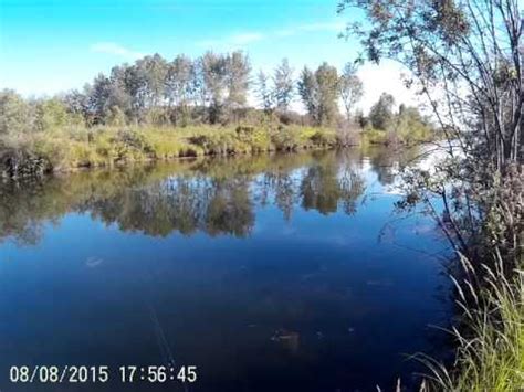 Wabamun had a population of fewer than 700 people in 2016. Pike fishing on Wabamun lake channel - YouTube