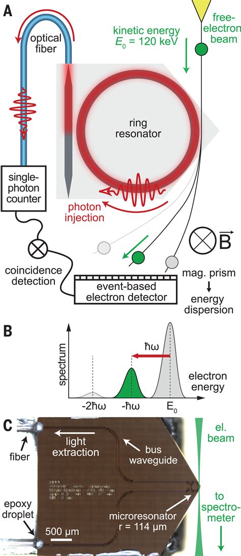 Electrons Photons Convert To