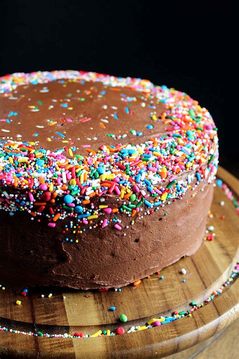 Chocolate cake for kids birthday. Classic Chocolate Birthday Cake | wyldflour