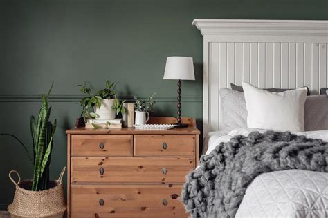 What Colors Go With Olive Green Walls Home Decor Bliss
