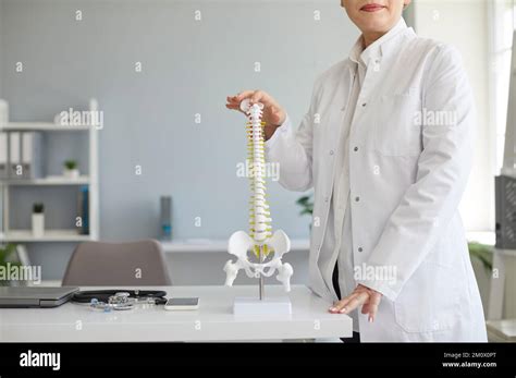 Cropped Shot Of Orthopedic Surgeon Standing By Table With Anatomical