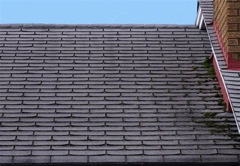 We did not find results for: Removing Moss from Roof - Bob Vila Radio - Bob Vila