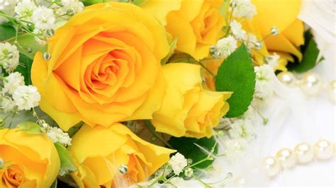 Free Download Yellow Roses Wallpaper Hd Tumblr For Walls