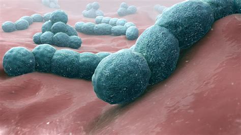 Streptococcus Pneumoniae Causes Prevention Treatment