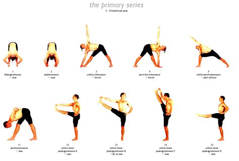 Different Types Of Yoga Asanas