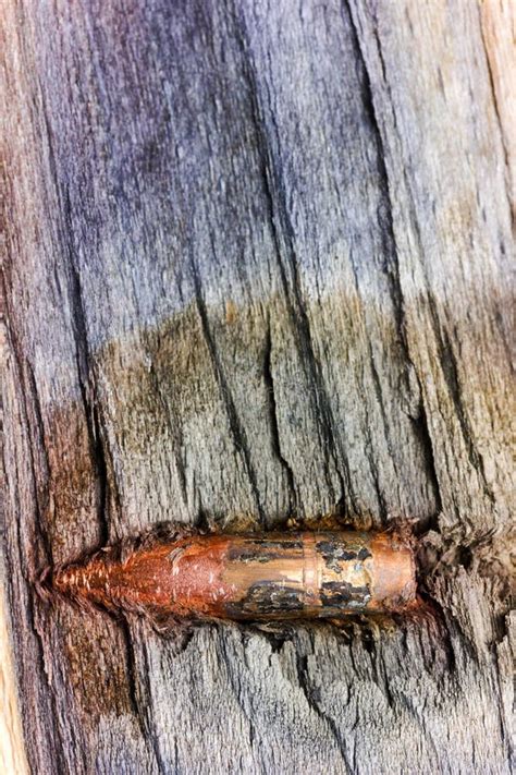 Bullet Stuck In A Piece Of Timber Stock Photo Image Of Shot Piece