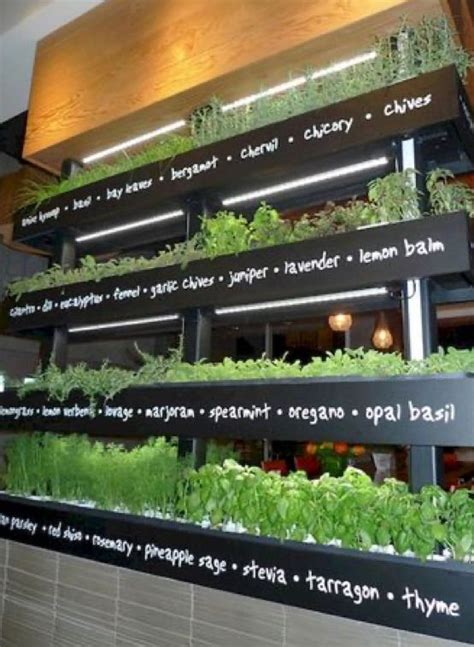 Herb garden has no known uses in crafting. Pin by Christie Quinn on Indoor garden in 2020 | Indoor ...