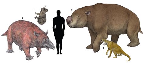 Prehistoric Taxonomy Prehistoric Animals Extinct Animals Ancient