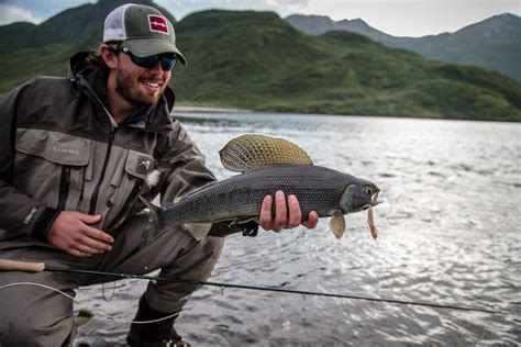 6 Popular Alaska Fish Species To Catch On The Fly Yellow Dog