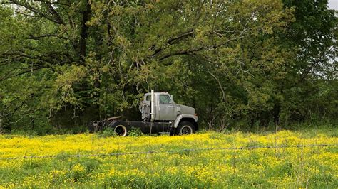 Westmoreland TN adjusts to new reality in days after 7 horrific killings