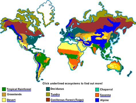 The continuous loss of the rainforests in general can lead to devastating global effects. Where are tropical rainforests located? - Internet Geography