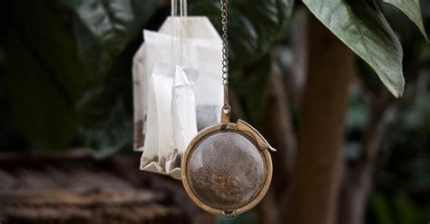 Sadly, i've recently had some pretty major stomach troubles and found out that i'm basically, some are compostable and some aren't. 8 Reasons To Bury Tea Bags In Your Garden | The Rainforest ...