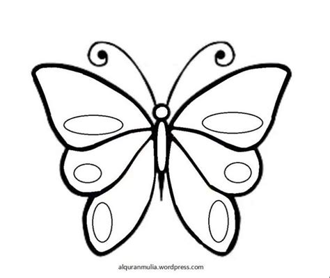 Mau buat gambar sketsa kupu kupu? Sketsa Kupu - Kupu (Kumpulan Gambar dan Cara Menggambar) LENGKAP