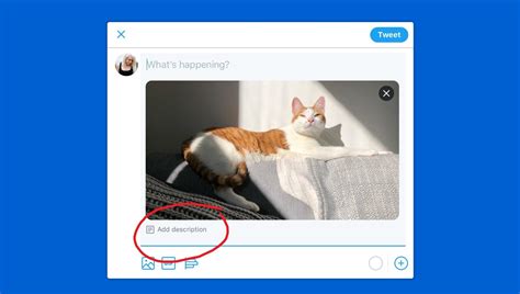You can tweet from almost anything these days: Twitter PWA for Windows 10 to get new accessibility ...