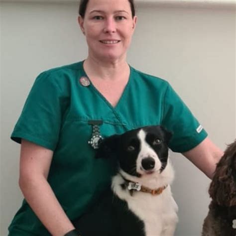 Our Team Anderson Veterinary Surgery