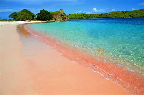 At first, we had no idea that there is some pink beach in. pink beach NTT Indonesia #damarsamudro #indonesiaitugue # ...